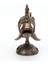 Steampunk Balık Biblo 4