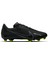 Zoom Mercurial Vapor 15 Academy Fg/mg Erkek Siyah Futbol Krampon DJ5631-001 1