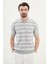 Çizgili Slim Fit Polo Yaka Erkek Triko T-Shirt 1