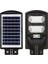 Horoz 100W Solar Sokak Armatürü Beyaz Işık Kumandalı Güneş Enerjili Armatür Bahçe Lambası 1