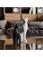 Menashop Metrashop ve Yavru Kedi Biblo 1
