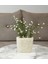 Menashop Metrashop Dahil,vazo Dahil,vazoda Çiçek,beyaz Yapay Çiçek,vazo Dekoratif Deniz Taşı El Yapımı 10X5X14CM 1