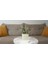 Menashop Metrashop Dahil,vazo Dahil,vazoda Çiçek,beyaz Yapay Çiçek,vazo Dekoratif Deniz Taşı El Yapımı 10X5X14CM 2