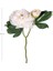 Menashop Metrashop Gül Tomurcuklu Beyaz 50 Cm. 2