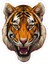 9x9 cm Kaplan Sticker Araba Motor Laptop Kask Sticker 1