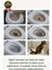 Kolay Kullanım Hijyenik Pratik Kum Kabı Yavru Yetişkin Kedi Wc Tuvalet Alıştırma Klozet Eğitim Seti 2
