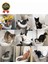Kolay Kullanım Hijyenik Pratik Kum Kabı Yavru Yetişkin Kedi Wc Tuvalet Alıştırma Klozet Eğitim Seti 5