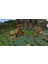 Minecraft: Java & Bedrock Edition PC - Minecraft.net Hesap 6