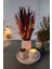 Modern Vazo - Teaighlt Mumluk - Kibritlik (Tealight Mum Dahildir) 2