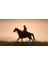 Red Dead Redemption 2 (PC Oyun) - Steam Hesap 2