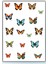 2'li Kelebek Temalı Sticker Seti Ajanda Planlayıcı Bullet Journal Için Uygundur 3