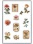 Vintage Çiçek Temalı Sticker Ajanda Planlayıcı Bullet Journal Için Uygundur 1