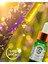 Aromaterapi Doğal Cam Damlalıklı Lavanta Uçucu Yağ 10ml 3