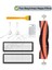 Xiaomi 1c Vacuum Mop (STYTJ01ZHM) Uyumlu Yedek Mopsuz Fırça Hepa Filtre Seti-7 Parça 1