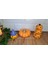 3'lü Halloween Set,cadılar Bayramı,balkabağı Dekor,el Yapımı(Handmade) 2