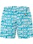 Koyu Mavi Erkek Şort Mayo PMB10384 557 Ao Logo Swımshort 2