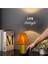 Life Starlight Modern Tasarımlı Şık Abajur Gold 5