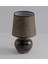 Harmony Stoneware Abajur 2