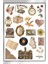Vintage Temalı Sticker Planner Ajanda Bullet Journal Için Uygun 1
