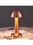 Mantar Model Retro Masa Lambası - Dimmerli, Şarjlı, Dekoratif ve Dokunmatik 1