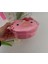 Hello Kitty Figürlü Beslenme Kabı Iki Bölmeli Pembe 3