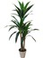 Yapay Ağaç Yucca 3lü 170 cm 1