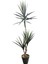 Yapay Ağaç 3 Lü Yucca 185 cm 1