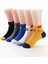 5'çift Erkek Çocuk Yazlık Kısa Renkli Çorap 3