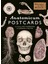 Postcard Box 1