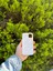Apple iPhone 11 Beyaz Lansman Uyumlu Içi Kadife Silikon Kılıf 2