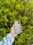 Apple iPhone 11 Gri Lansman Uyumlu Içi Kadife Silikon Kılıf 2