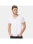Erkek Havana T-Shirt Havana/beyaz 2