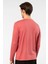 Erkek Modal Pamuk V Yaka T-Shirt 2243/MERCAN 3