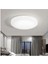 20W Ledli Glop Armatür 6400K Beyaz - Sıva Üstü Tavan Balkon Armatür 2