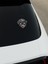 Ayı Dijital Baskı Sticker 1