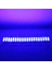 12 Volt 2 Watt Mavi Modül LED 68X16 mm (5067) 2