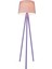 Tripod Lambader Lila Ayak / Gül Kurusu Şapka 3