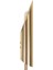 Fly Gold Aplik 2