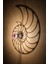 "nautilus" 2m Anahtarlı Dekoratif Desenli Gölge Aplik 3