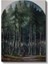 Caspar David Friedrich - Orman Derinlikleri Kanvas Tablo 2