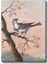 John James Audubon - Mavi Göğüslü Kuş Kanvas Tablo 2