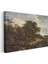 Jacob Van Ruisdael - Meşe Ağaçlı Kırsal Manzara Kanvas Tablo 3
