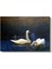 Bruno Liljefors - Swans Kanvas Tablo 2