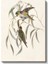 John Gould - Okaliptüs Dalındaki Kuşlar Kanvas Tablo 2