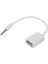 3.5mm Erkek Aux Ses Fişi Jakı USB 2.0 Dişi Dönüştürücü Kablo Kordonu Araba Mp3 Akıllı Telefon Cep Telefonu Telefonları (Yurt Dışından) 3
