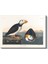 John James Audubon - Büyük Gagalı Deniz Papağanları Kanvas Tablo 2