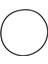 27001-0061S O-484 Için Havuz Spa Filtre Tankı O-Ring Spa-Rıte PLM100 Havuz Filtresi Havuz Pompası Yedek Parçaları (Yurt Dışından) 1