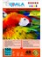 Epson 101 L6190 Evertday Premium Parlak 10X15CM Fotoğraf Kağıdı 260 Gr. 100 Adet 1