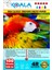 Epson Ecotank L200 Evertday Premium Parlak 10X15CM Fotoğraf Kağıdı 200 Gr. 100 Adet 1