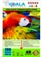Epson 103 L5590 Evertday Premium Parlak 10X15CM Fotoğraf Kağıdı 300 Gr. 100 Adet 1